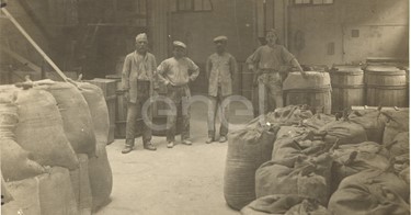 Settore chimico. Reparto raffinerie acido borico. 1915/1930/1937