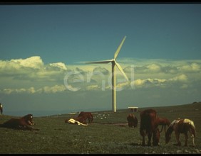 Aerogeneratore