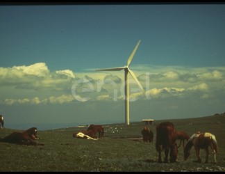 Aerogeneratore