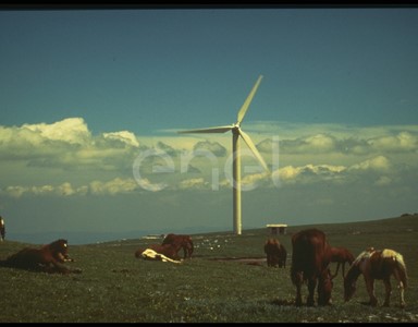 Aerogeneratore