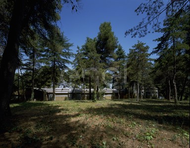 Mimetizzazione dell'impianto