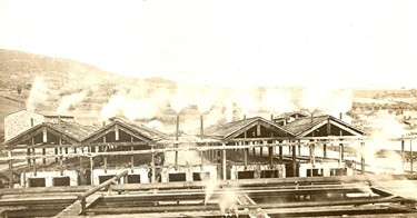 Settore chimico. Impianti di evaporazione. 1890/1954