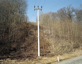 Palo MT