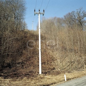 Palo MT