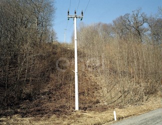 Palo MT