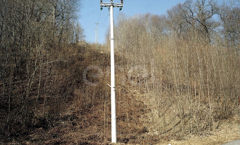 Palo MT