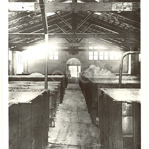 Settore chimico. Reparto raffinerie acido borico. 1915/1930/1937
