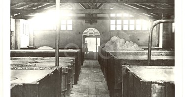 Settore chimico. Reparto raffinerie acido borico. 1915/1930/1937