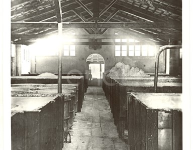Settore chimico. Reparto raffinerie acido borico. 1915/1930/1937