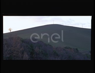 Linea MT