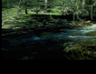Torrente
