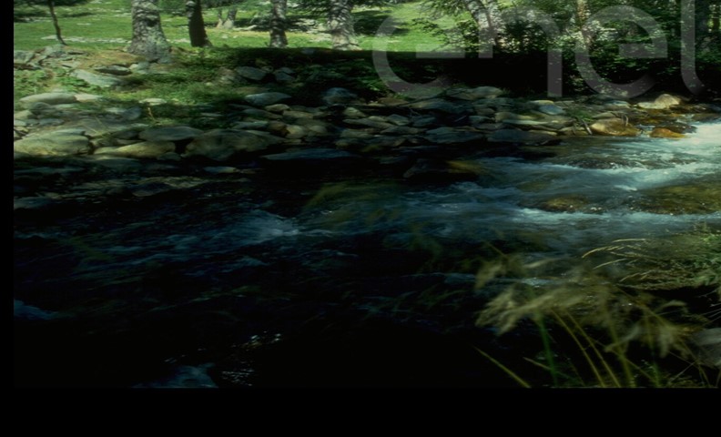 Torrente
