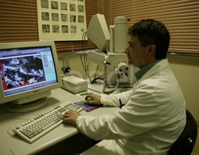 Tecnico al computer all'interno del laboratorio chimico di Larderello