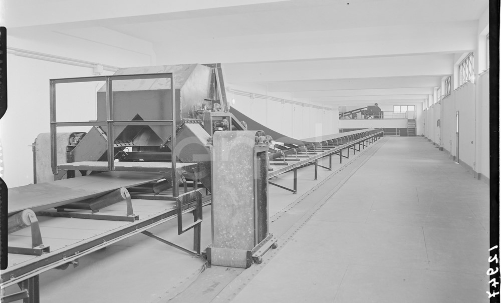 Nastro trasportatore