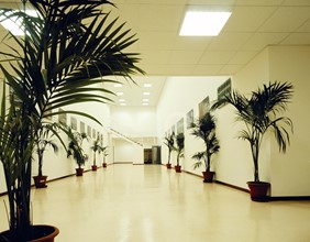 centro congressi