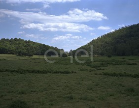 Altopiano e vegetazione