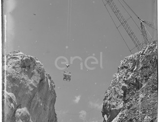 Gola