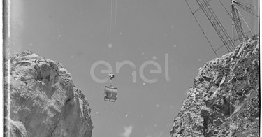 Gola