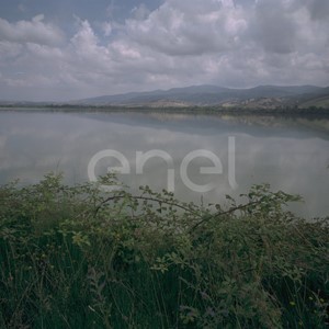 Lago e oasi