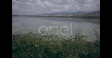 Lago e oasi