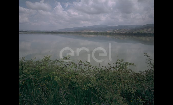 Lago e oasi