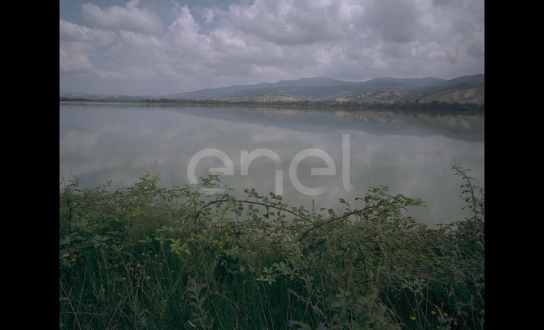 Lago e oasi
