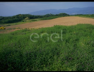 Risistemazione ambientale dell'area delle cave di lignite