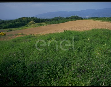 Risistemazione ambientale dell'area delle cave di lignite