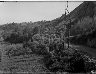 Stradone del comprensorio di Rio Torto