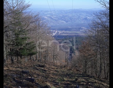 Traliccio MT