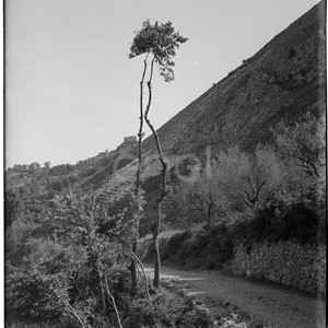 Stradone del comprensorio di Rio Torto