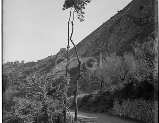 Stradone del comprensorio di Rio Torto