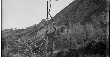 Stradone del comprensorio di Rio Torto