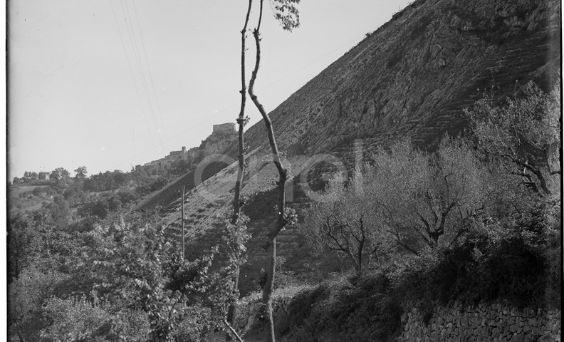 Stradone del comprensorio di Rio Torto