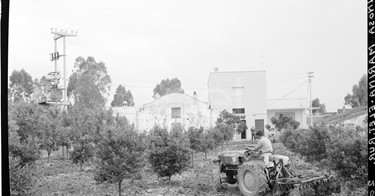 Elettrificazione rurale di Ginosa Marina