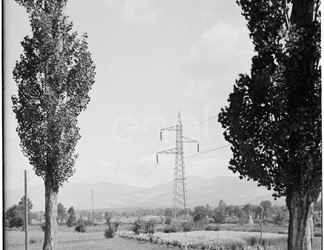 Linea AT