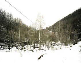 Cavo precordato