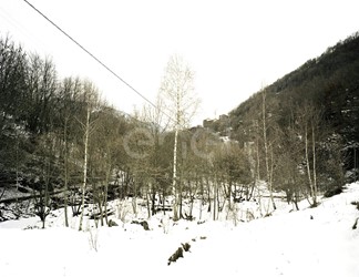 Cavo precordato