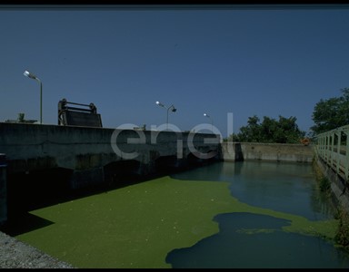 Vasca di depurazione