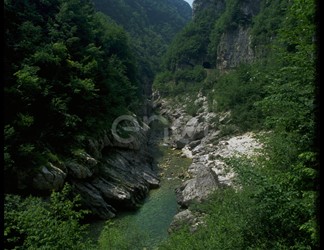 Fiume Cellina