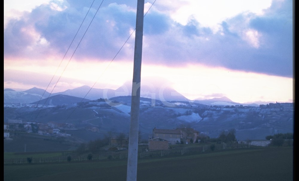 Palo