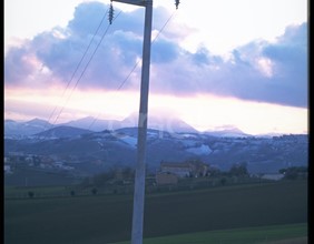 Palo