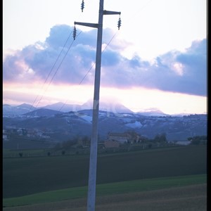 Palo