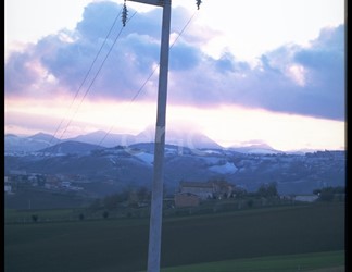 Palo