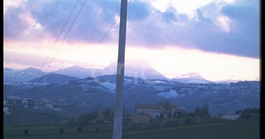 Palo