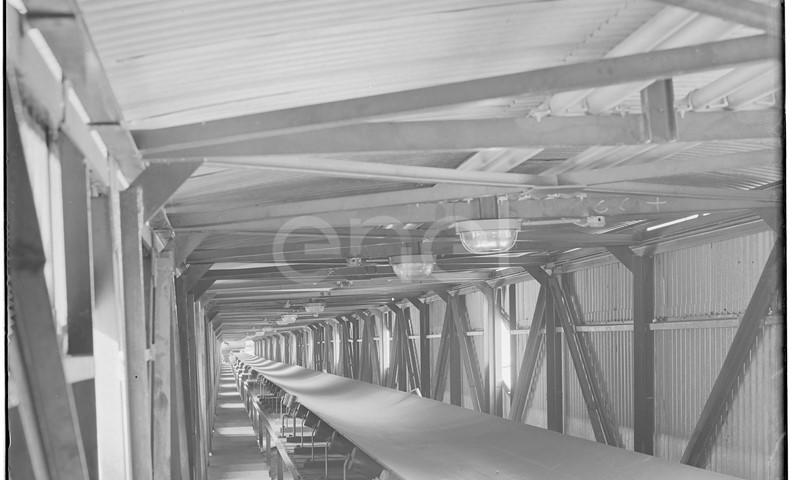Nastro trasportatore