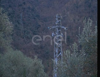 Traliccio MT e campata dei cavi aerei