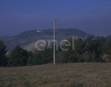 Palo