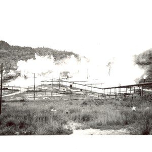 Settore chimico. Iniettori. Pressatori. Divisori. Refrigeranti in legno. 1909/1931