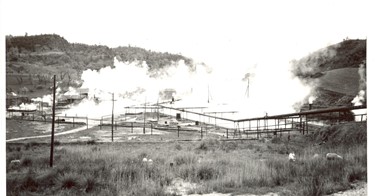 Settore chimico. Iniettori. Pressatori. Divisori. Refrigeranti in legno. 1909/1931